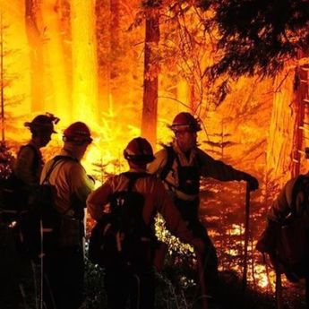 Kebakaran Hutan Hebat di Jepang, Ribuan Warga Dievakuasi