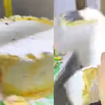 Viral! Wanita Ini Beli Kue Ultah Isinya Styrofoam