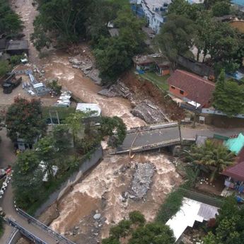 Forest Watch Indonesia Temukan Kerusakan Hutan di 3 Hulu Sungai, Capai 2.300 Hektare!