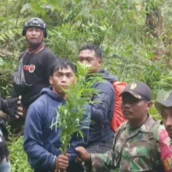 Terpopuler: Kata TNTBS Soal Video Ladang Ganja-Larangan Drone di Bromo Tengger Semeru, Mendag Budi Segel SPBU Nakal di Sentul