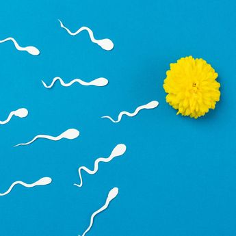 Cara Memperbanyak Sperma dan Meningkatkan Kualitasnya, Kuncinya Cuma 1!