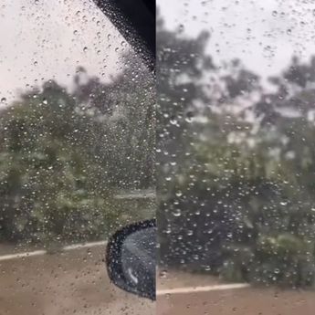 Banyak Pohon Tumbang di Sepanjang Tol Sentul-Citereup Pasca Hujan Deras