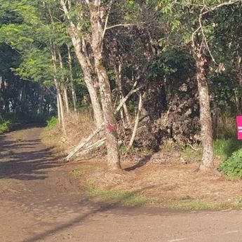 Pangdam Siliwangi Cek Lokasi Pemusnahan Amunisi di Garut