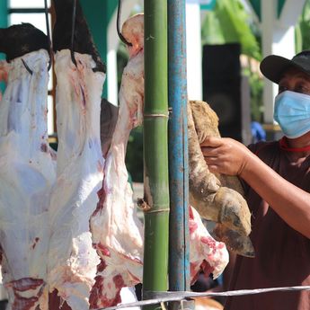 Tips Mengolah Daging Kurban Agar Empuk, Lezat dan Bebas Bau Prengus