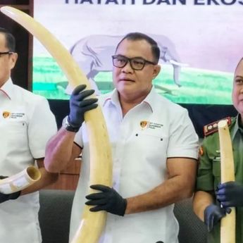 Polri Tes DNA Gading Gajah dari Sindikat Perdagangan Hewan 