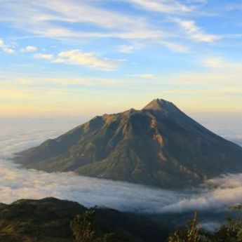 Viral Video Kapling Tenda di Gunung Merbabu, Pengelola Taman Nasional Buka Suara