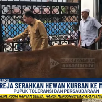 Indahnya Toleransi! Gereja Protestan Maluku Sumbang Sapi Kurban ke Masjid Al-Fatah Ambon