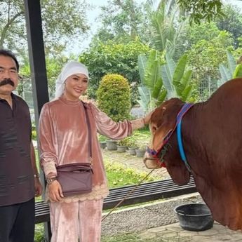 Inul Daratista Kurban 5 Sapi Jumbo, Telan Biaya Nyaris Rp1 Miliar