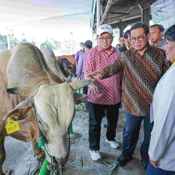 Pramono: Kurang Lebih 69 Ribu Hewan Kurban Disembelih di Jakarta
