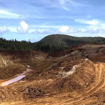 APNI Beberkan Fakta Soal PT Gag dan Tambang Nikel di Raja Ampat
