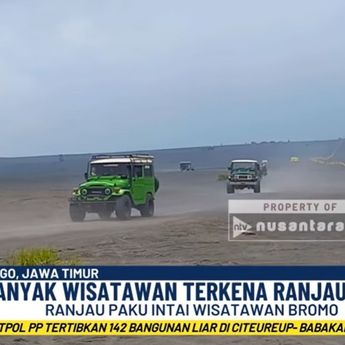 Geger Ranjau Paku di Savana Bromo, Kendaraan Wisatawan Jadi Korban