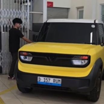 Pemilik Keluhkan Masalah pada Mobil Listrik VinFast VF3, Ternyata Ini Penyebabnya