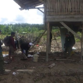 Kemenhut Amankan Pelaku Perambah 4 Hektare Lahan di Taman Nasional Berbak Sembilang