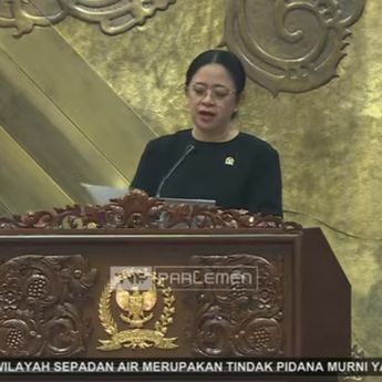 Puan Apresiasi Prabowo Selesaikan Masalah Raja Ampat dan Sengketa 4 Pulau Aceh