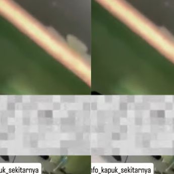 Warga Kapuk Digegerkan dengan Jasad Membusuk di Rumah Kontrakan