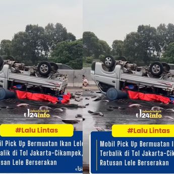 VIDEO: Pick Up Muatan Lele Terbalik di Ruas Tol Jakarta-Cikampek