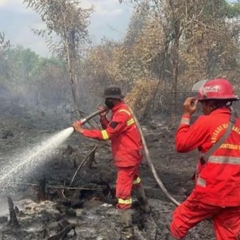 Polres Kampar Riau Usut Dugaan Lahan 30 Hektare Sengaja Dibakar