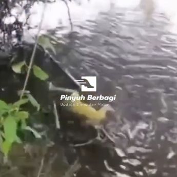 Dilaporkan Hilang, Mayat Bocah 6 Tahun Ditemukan Tewas Mengambang di Sungai