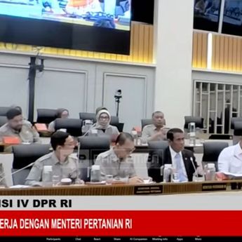 Demi Genjot Produksi hingga Cetak Sawah, Mentan Minta Tambahan Anggaran
