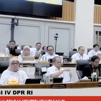 Menhut: Pemerintah Siapkan Lahan Baru untuk Relokasi Warga Eks Tesso Nilo