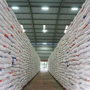 Pemerintah Salurkan 360 Ribu Ton Bansos Beras ke Masyarakat hingga Akhir Juli 2025