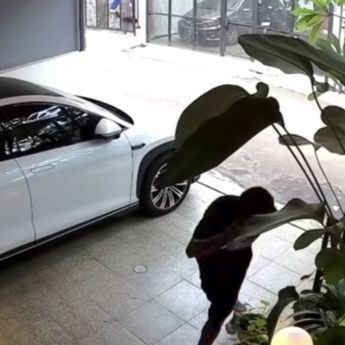 Rekaman CCTV Detik-detik Paket di Rumah Rafael Tan Raib Dibawa Maling