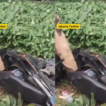 Kecelakaan Maut Pemotor Tewas di Jalan Jenderal Ahmad Yani
