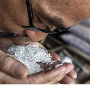 Kemendag Panggil Produsen, Minta Tarik Beras Tak Sesuai Mutu
