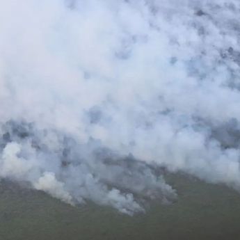 Menhut: Panas Ekstrem dan Badai Wipha Jadi Pemicu Utama Karhutla di Riau