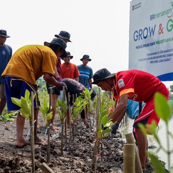 Peringati Hari Mangrove Sedunia, BRI Pertegas Komitmen Selamatkan Lingkungan Lewat Perbaikan Ekosistem Pesisir