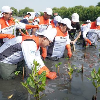 Tumbuhkan Cinta Lingkungan, Pertamina dan Siswa SD Tanam Puluhan Ribu Mangrove