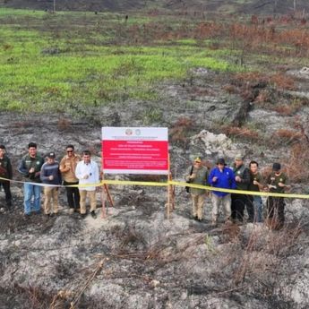 Kemenhut Segel Dua Konsesi Akibat Kebakaran Hutan di Dekat Perbatasan Malaysia