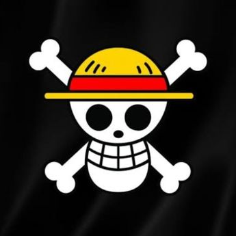 DPR Sebut Pengibaran Bendera One Piece Aksi Makar