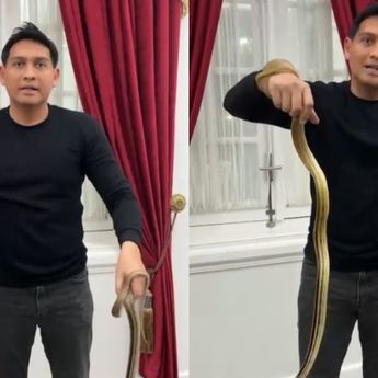 Lepas Ribuan Ular ke Sawah, Lucky Hakim: Gerakan Basmi Tikus