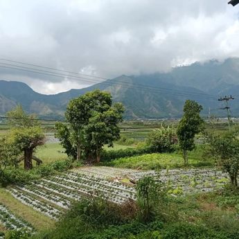 Wisata Alam Gunung Rinjani Dibuka Kembali 11 Agustus 2025