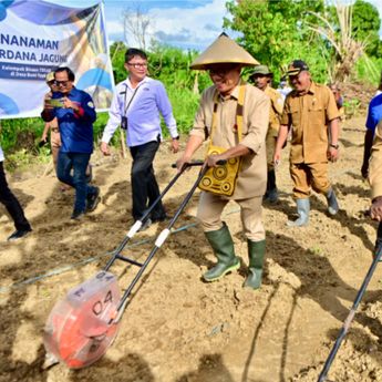 Tanam Jagung Bersama Warga, Menteri Desa Tunjukkan Komitmen Bangun Papua