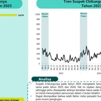 Kemenkes Ingatkan Potensi Lonjakan Chikungunya di 2025