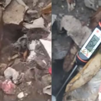 Asap Tiba-tiba Muncul dari Tiang Lampu di Bogor, Suhu Capai 70 Derajat Celcius