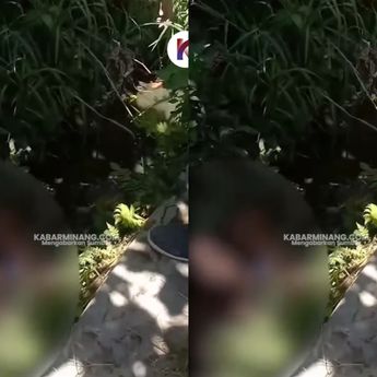 Mayat Tergeletak pinggir Jalan Gegerkan Warga Pasaman Siang Ini