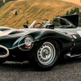 Jaguar Legendaris Ini Muncul Setelah 31 Tahun Tersembunyi