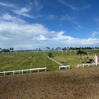 Indonesia's Horse Racing (IHR)-Merdeka Cup 2025: Track Cantik Tepi Pantai di Pangandaran Jawa Barat Jadi Tuan Rumah