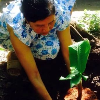 Waspada Cacingan pada Orang Dewasa, Terutama yang Sering Kontak dengan Tanah