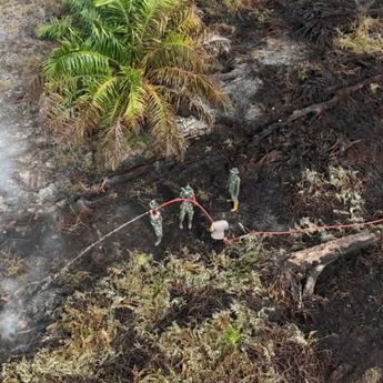 Karhutla Meluas di Aceh Selatan, Tim Gabungan Masih Berjuang Padamkan Api