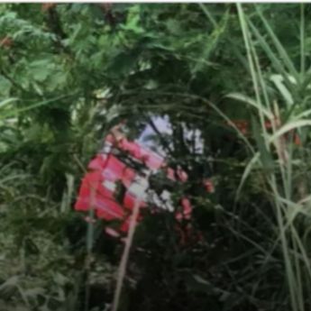 Calya Terjun ke Jurang Sedalam 20 Meter di Sukabumi, Hancur Berantakan