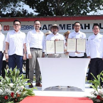 BRI Dukung Program Sapi Merah Putih, Dorong Swasembada Pangan Nasional