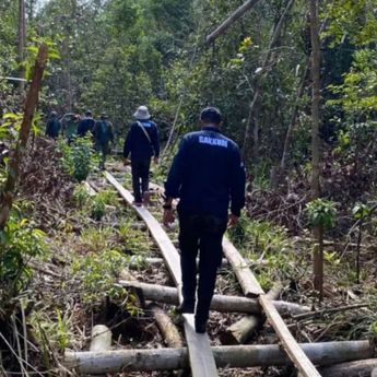 Kemenhut Tahan Pimpinan Pembalakan Liar di Hutan SM Kerumutan