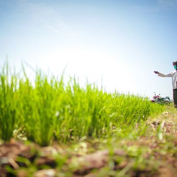 BPS: Produksi Beras Hingga Oktober 2025 Surplus 3,7 Juta Ton