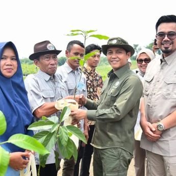 Menhut Targetkan Penyaluran 17 Juta Bibit Pohon Gratis hingga Akhir 2025