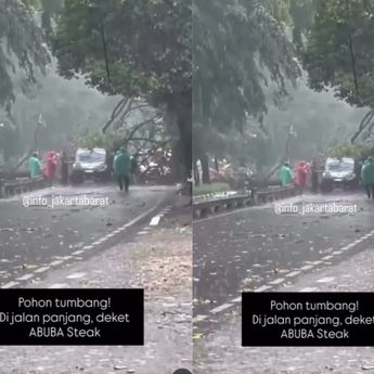 VIDEO: Pohon Tumbang Hantam Mobil di Kedoya