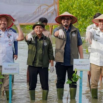 Menhut Tetapkan Target Rehabilitasi Mangrove 15.387 Hektare di Tahun 2025
